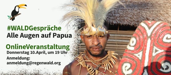 #WALDGespräche: Indigene schützen die intakten Regenwälder in Papua (Indonesien) (© Collage RdR) WaldGespräche Papua