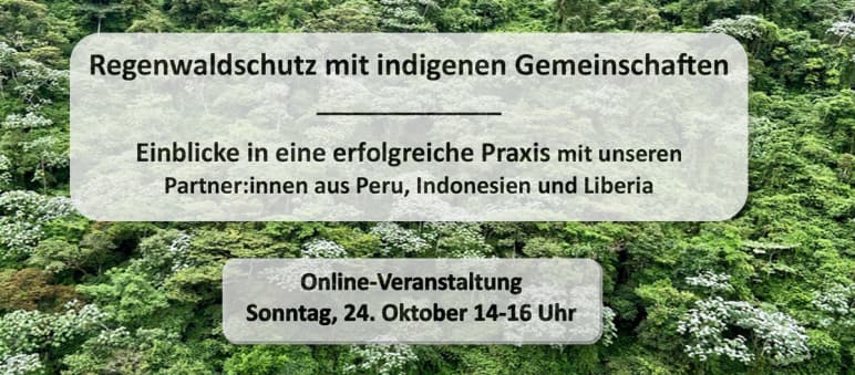 INFOE und Rettet den Regenwald: Online-Veranstaltung am Sonntag, den 24. Oktober 2021, um 14 - 16 Uhr Collage Veranstaltung Waldschutz und Indigene Gemeinschaften