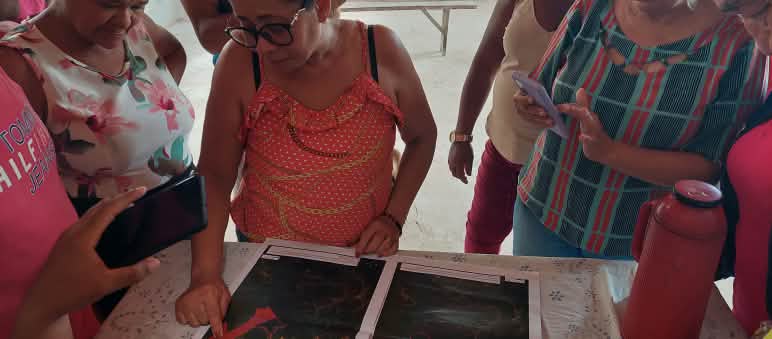 Eine Gruppe von 6 Frauen betrachtet zwei Tabletts mit ausgebreitetem Saatgut