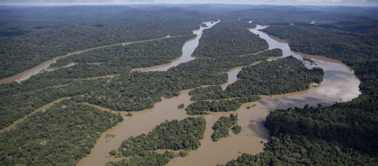 Luftbild vom Amazonas-Regenwald, Flusslandschaft