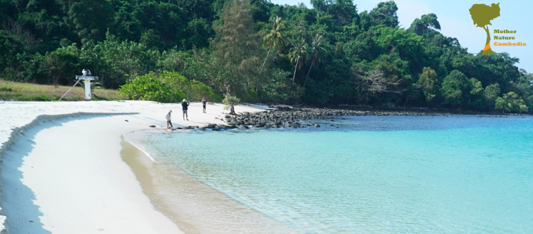 Grüner Regenwald, weißer Strand und türkisfarbenes Meer
