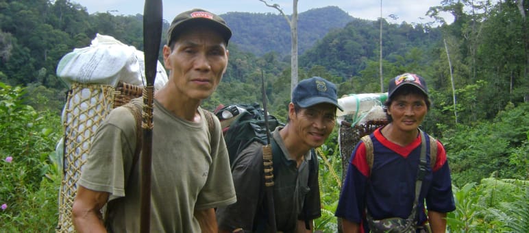 Die indigenen Penan leben als Nomaden im und vom Wald Drei indigene Männer tragen in Körben auf dem Rücken Gepäck durch den malayischen Regenwald.