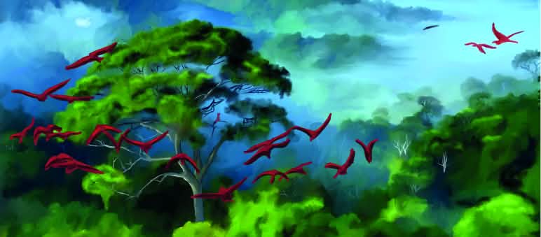 Illustration Regenwald