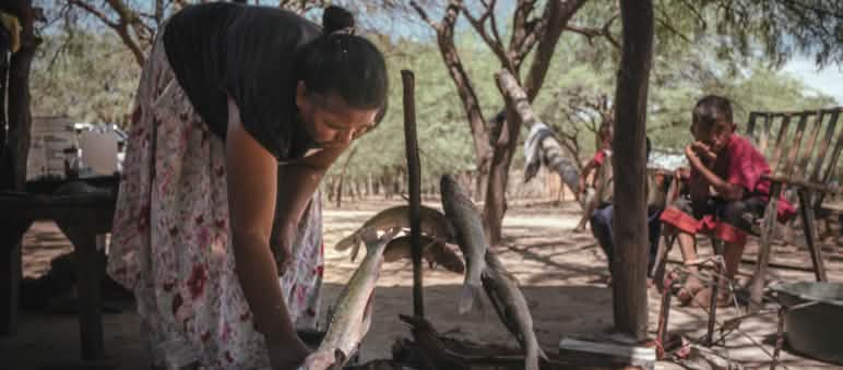 Fische sind eine wichtige Nahrungsquelle für die Menschen am Pilcomayo-Fluss Eine indigene Frau bereitet das Grillen von Fischen am Boden unter Baumwipfeln vor, während ein Kind zuschaut