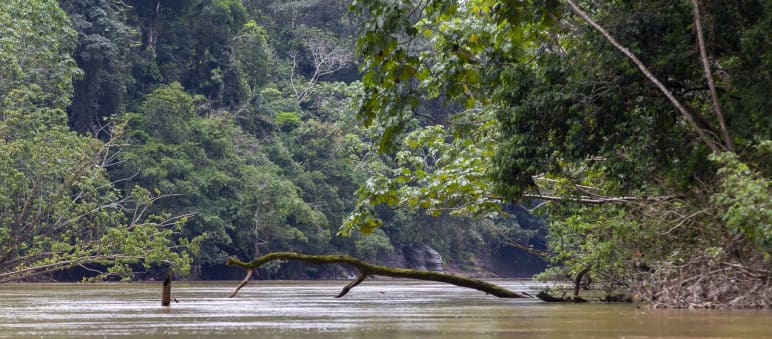 Fluss im NP Yasuni