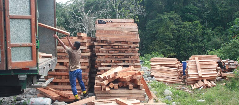 Am Flussufer des Pastaza werden die Balsa-Kanteln aus dem Regenwald für den weiteren Abtransport in einen Lastwagen verladen Balsaholz wird in Lkw verladen