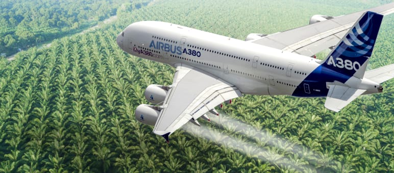 Airbus-Geschäfte in Gefahr? Collage: Airbus Flugzeug über Palmöl Plantage