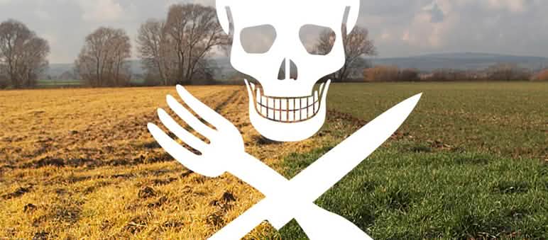 Glyphosat macht krank Ein Totenkopfprint mit Besteck-Knochen über den toten Feldern