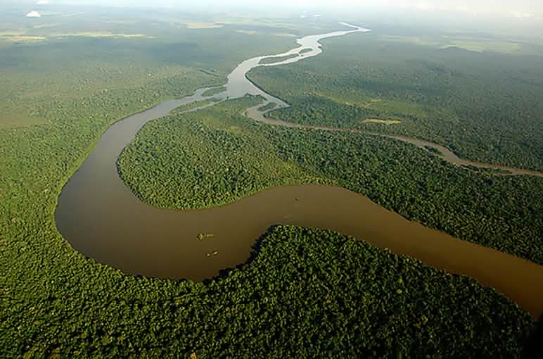 Fluss Teles Pires in Mato Grosso (Foto: Rodrigo Vargas Br.) Das spanische Staatsoberhaupt und damaliger WWF-Ehrenpräsident König Juna Carlos posiert mit seiner Jagdflinte vor einem toten Elefanten in Botswana