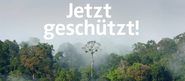 Peru: 868.927 Hektar Regenwald zum Nationalpark erklärt Amazonas Regenwald mit Text "Jetzt geschützt!"