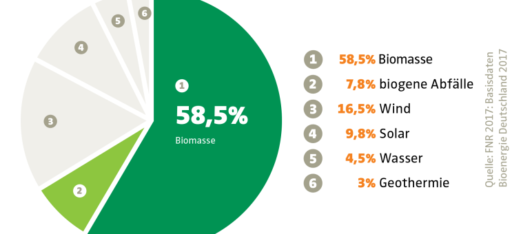 Anteil der Bioenergie bei den erneuerbaren Energien in der EU (2016). Tiere und Pflanzen sind nur noch "Biomasse" Anteil der Bioenergie bei den erneuerbaren Energien in der EU (2016)