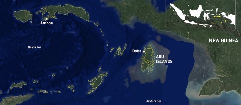 Karte Neuguinea - Aru-Inseln - Australien von N nach S
