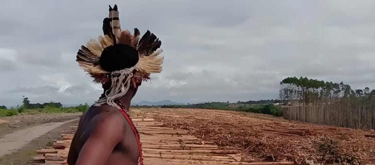 Indigene Pataxó haben die Eukalyptusplantage besetzt, die auf ihrem Land gepflanzt wurde Indigener auf einer Eukalyptusplantage