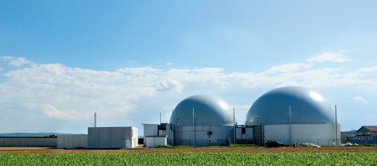 Biogasanlage und Monokulturen mit Energiemais - eine Gefahr für Mensch, Klima und Umwelt Biogasanlage