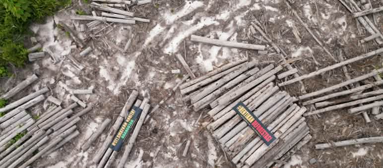 Holzstämme von oben, mit Bannern "Stopp Entwaldung", "Rettet Orang-Utan-Habitat"