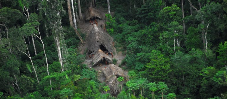 Drohnenflug über den Urwald: Eine Siedlung von in freiwilliger Isolation lebenden Indigenen Unkontaktiertes Volk im brasilianischen Amazonasgebiet