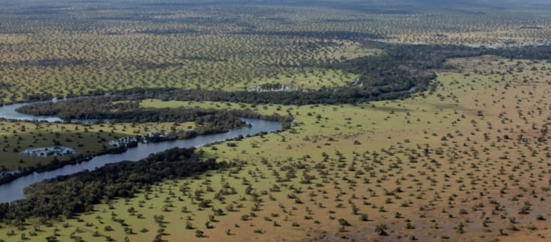 Die Cerrado-Savanne wird für Soja- und Zuckerrohrplantagen sowie Rinderweiden abgeholzt Landschaft aus der Vogelperspektive mit Wald und Fluss