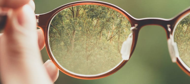 Transparenz schafft Vertrauen eine Brille stellt den Wald scharf