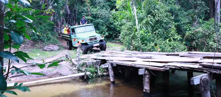 Ein Pickup überquert einen Fluss über eine improvisierte Brücke aus Bohlen im Regenwald
