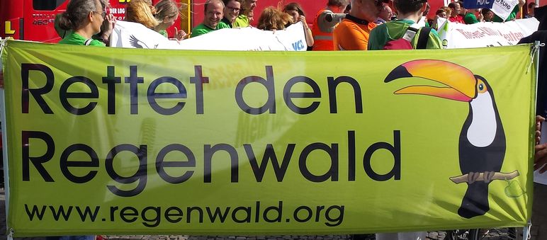 Wir setzen uns mit vielen Mitteln für den Schutz der Regenwälder ein