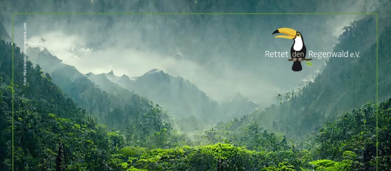 Regenwaldurkunde mit Wald Motiv
