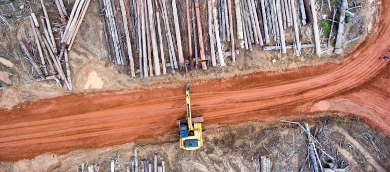 Korindo hat in Papua Regenwald in Palmölplantagen umgewandelt Luftbild: Bagger auf Rodung für Palmölplantage der Firma Korindo in Papua