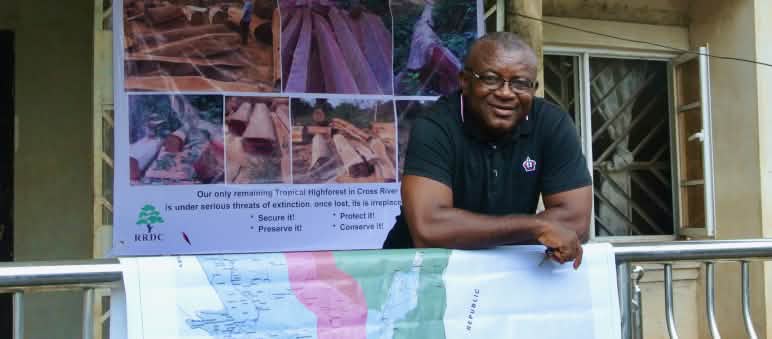 Odey Oyama Holzfäller, die in den Cross River Nationalpark eindringen