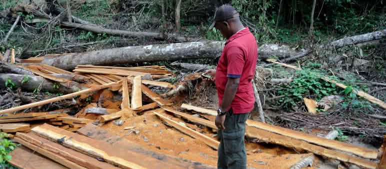 Martins Egot von der Ekuri Initiative