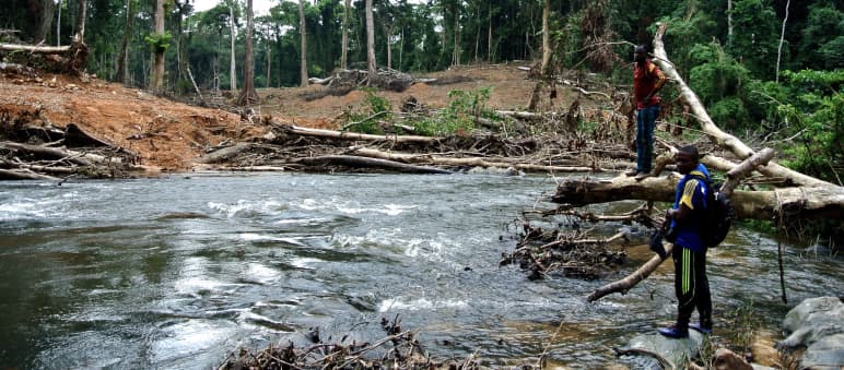 Straßen in zuvor schwer zugängliche Wälder sind häufig Beginn großflächiger Zerstörung Rodung für eine geplante Straßen durch den Regenwald in Nigeria