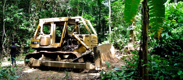 Bulldozer im Cross River Nationalpark