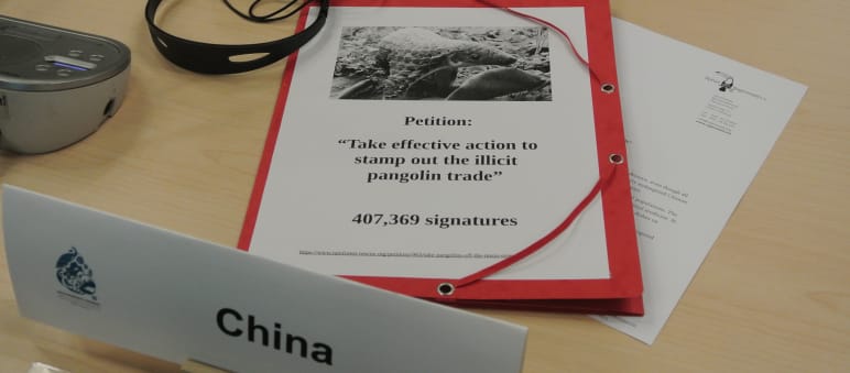 Mappe für die Übergabe von Petition zum Pangolin
