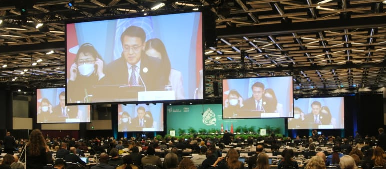 Plenar-Sitzung während der COP15