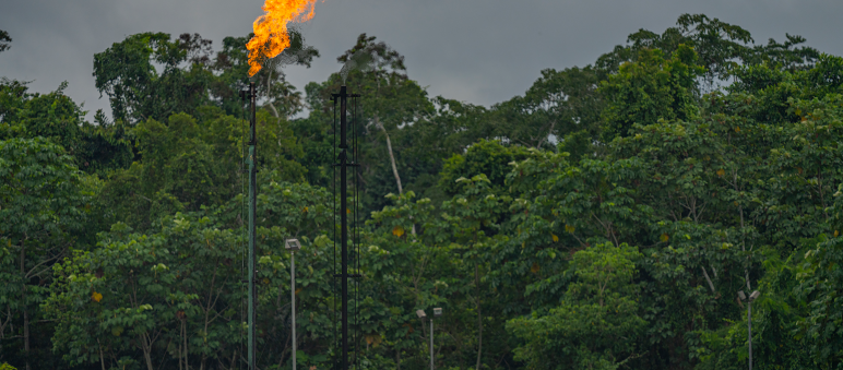Ölfeld im Yasuni NP