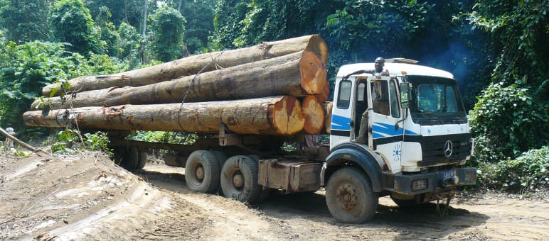 Ein Holzlaster transportiert Tropemholzstämme im Regenwald von Afrika