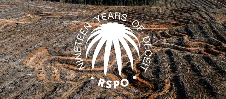 Für die Anlage von Palmöl-Plantagen abgeholzter Regenwald Collage mit RSPO Siegel auf einer abgeholzten Regenwaldfläche darauf steht ninteen years of deceit