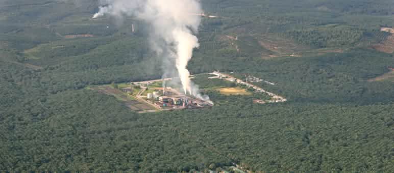 Palmöl-Fabrik in Südostasien