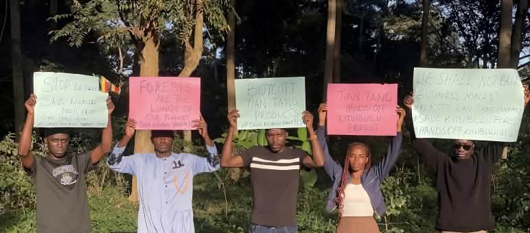 Fünf Demonstranten halten Plakate hoch, auf denen der Schutz des Kitubulu-Wald gefordert wird.