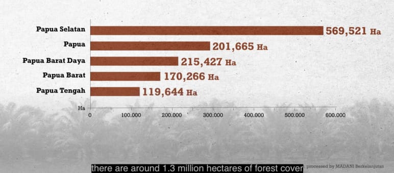 Grafik von Regenwald, den Palmölfirmen in Konzession haben