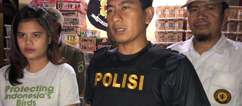 Junge Frau mit T-Shirt von Flight und Polizist im Lagerraum mit Kisten voller Vögel