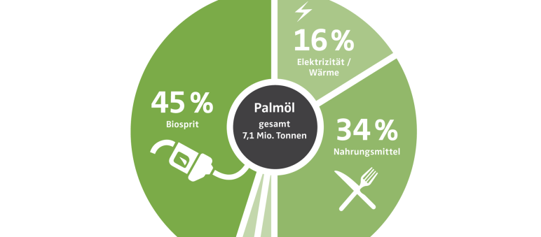 Palmölimporte in die EU und Verwendung des Palmöls