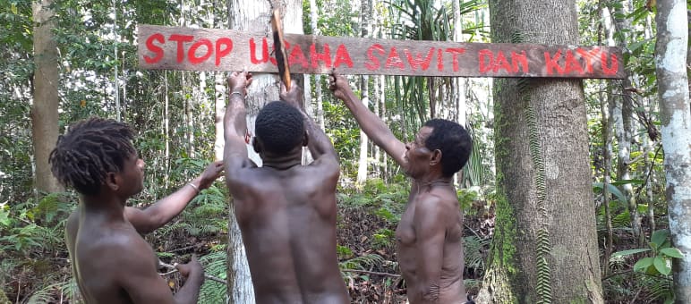 drei Papua verteidigen ihren Wald mit Schild