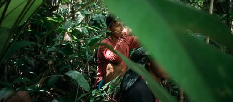 Ka’apor im Dschungel