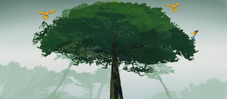 Illustration Amazonien