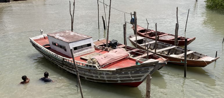 Drei Fischerboote und zwei Schwimmer im trüben Wasser eines Mangrovenwaldes