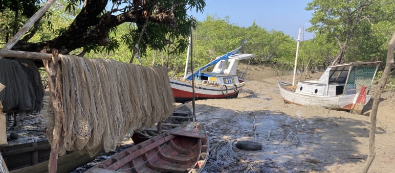 Boote und zum Trocknen aufgehängte Fischernetze in einem Mangrovenwald bei Ebbe