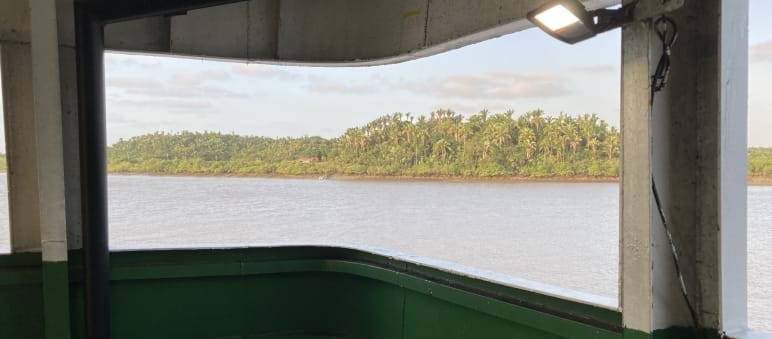 Blick von einem Schiffsdeck über das Wasser auf mit Palmen bestandenes Land im Hintergrund