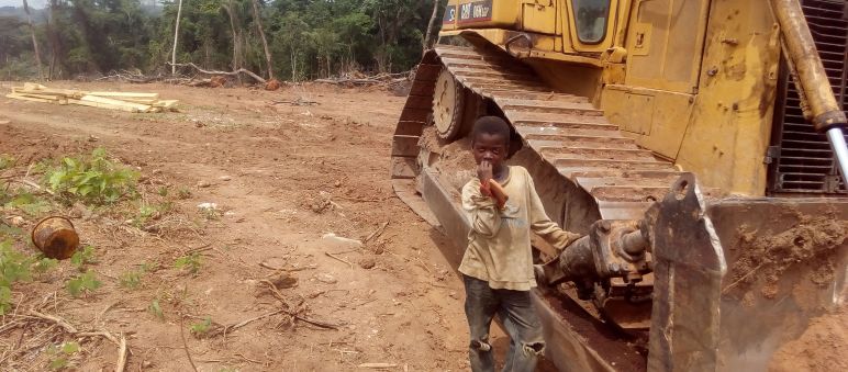 Bulldozer haben eine 100 Meter breite Schneise geschlagen Ein kleiner Junge steht neben einem Bulldozer auf einer bereits gerodeten Fläche im Regenwald
