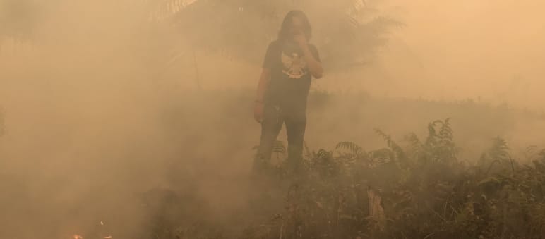 Feuer vernichtet Wälder, Rauch verklebt die Lungen Brände beim Dorf Puding, Distrikt Muaro Jambi, Sumatra, September 2019