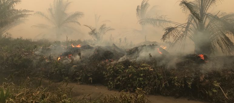 Brände beim Dorf Puding, Distrikt Muaro Jambi, Sumatra, September 2019