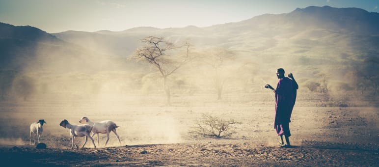 Hirten wie die Massai leiden unter der repressiven Politik der Regierung (Symbolbild) Viehhirte in Tansania, Massai